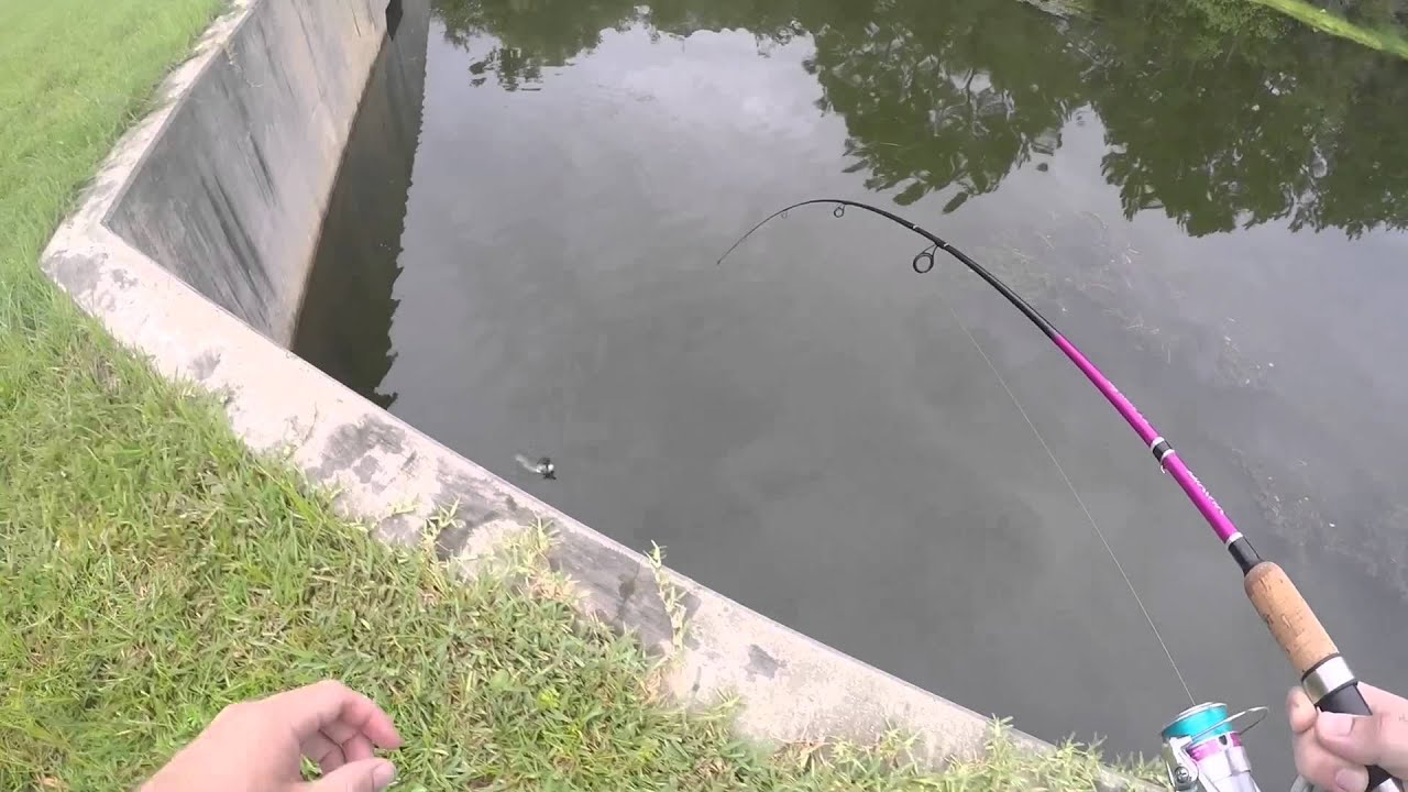 Jacksonville Florida Southside Pond Fishing Bass - YouTube