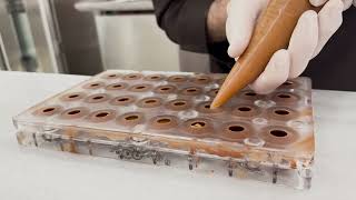 MFS Chocolate Moulds : Magnetic Truffle & Ball Moulds! (ProChoco)