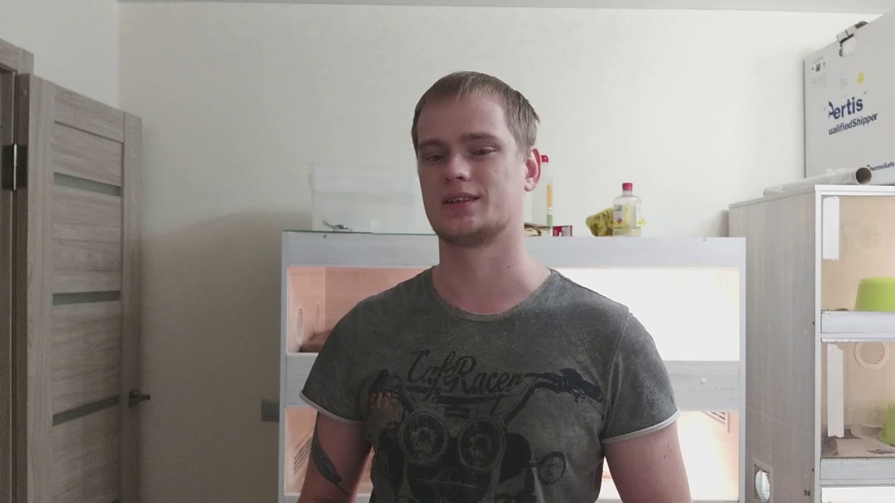 Клещи у змей (личный опыт борьбы)