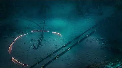 NKT MakeSense® – Advanced Cable Monitoring