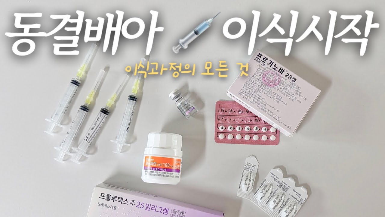 시험관 vlog 💉 드디어 ! 동결이식 1차 시작, 이식 과정의 모든 것