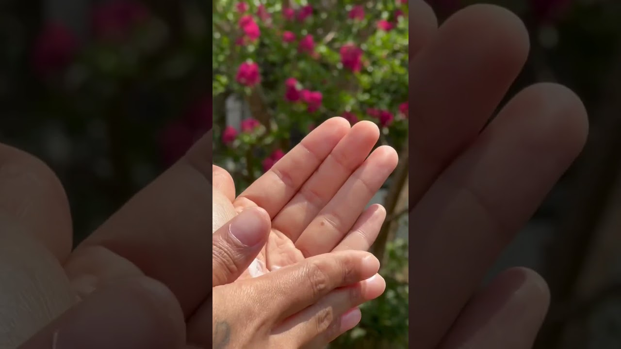 Take a look at Lilly Hill cbg oil and cbd lotion😍 