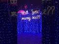 Someone had to have used the opportunity. #zoolights #proposal #opportunity #shorts
