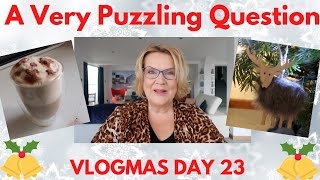 Vlogmas Day 23: A Very Puzzling Question