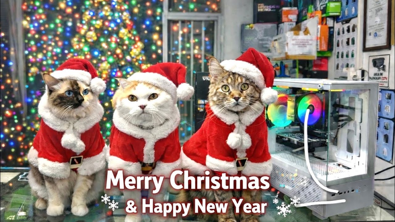 Tutorial rakit pohon natal dari Shopee.. harga murah hasilnya cakep banget guys..