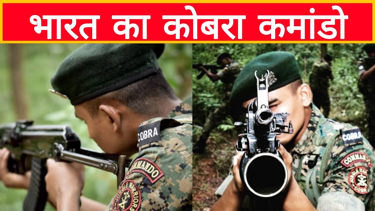 Indian cobra commando 🔥 #shorts #facttechz