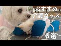 【老犬介護】介護が楽になるオススメ介護グッズ６選❣️