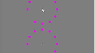 Afterimage simulation