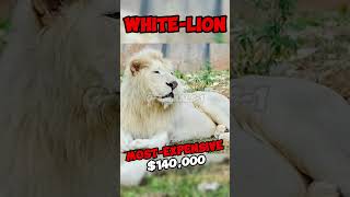 Most Expensive Animals In The World! 😨