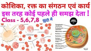 कोशिका एवं रक्त का संगठन # Cell & structure & functions of Blood # RBC, WBC, and Platelets in hindi