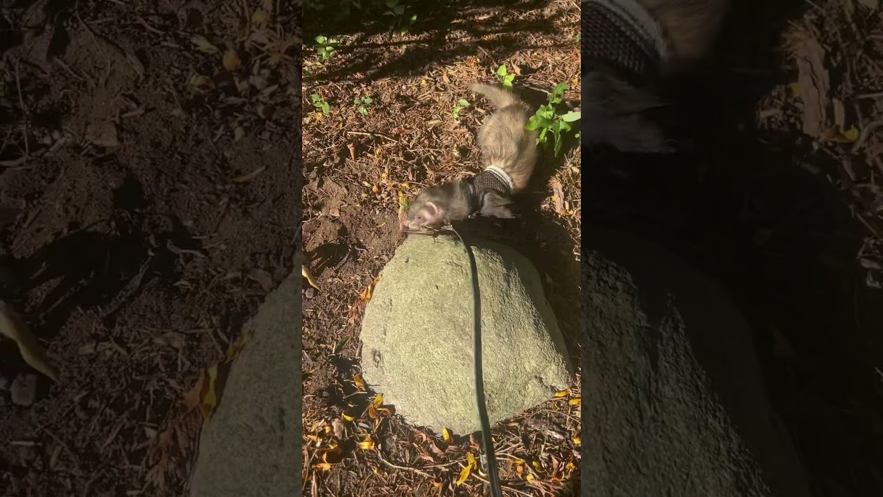 I love her so much🩵My little 