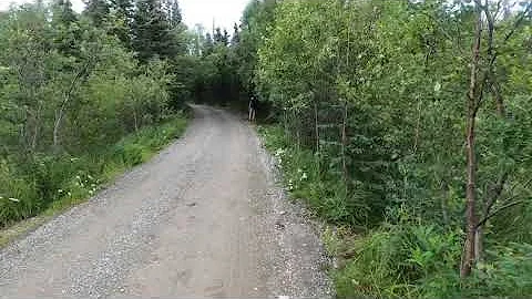 Bear encounter: Katmai National Park