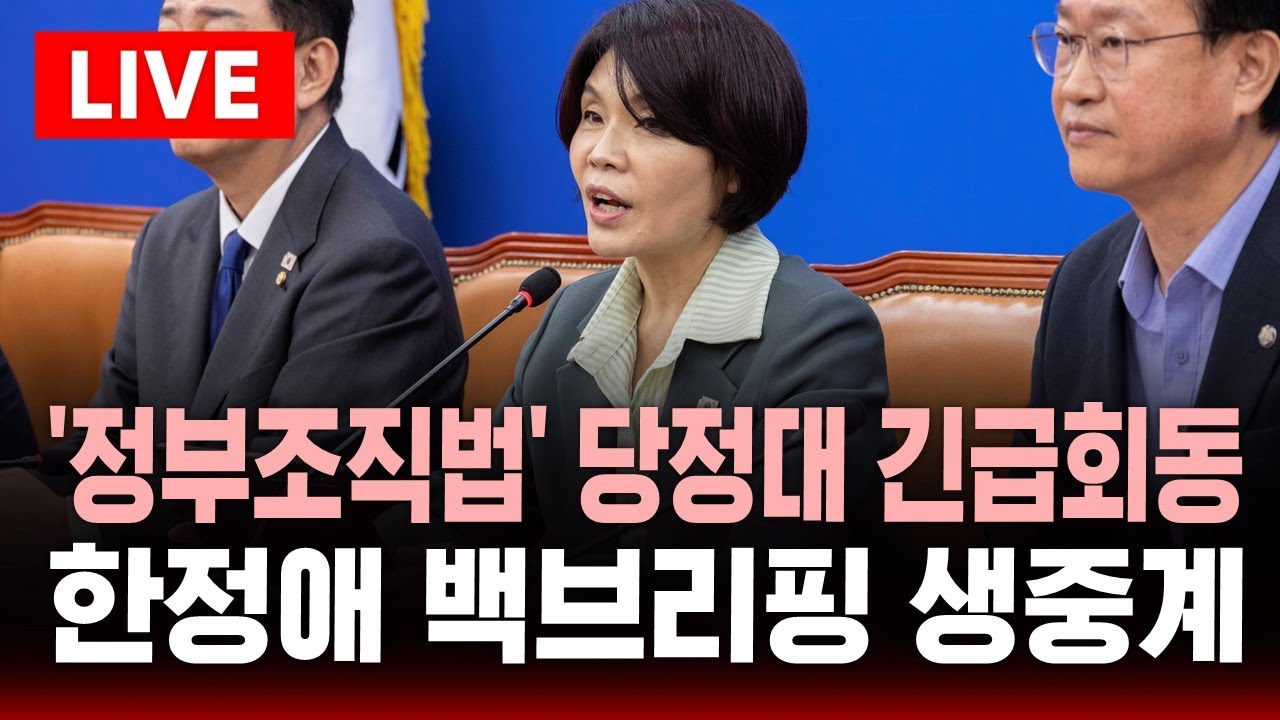 🔴'정부조직법' 당정대 긴급회동 - 한정애 백브리핑 | SBS 실시간 라이브 - YouTube