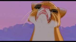 Sneezing Cougar
