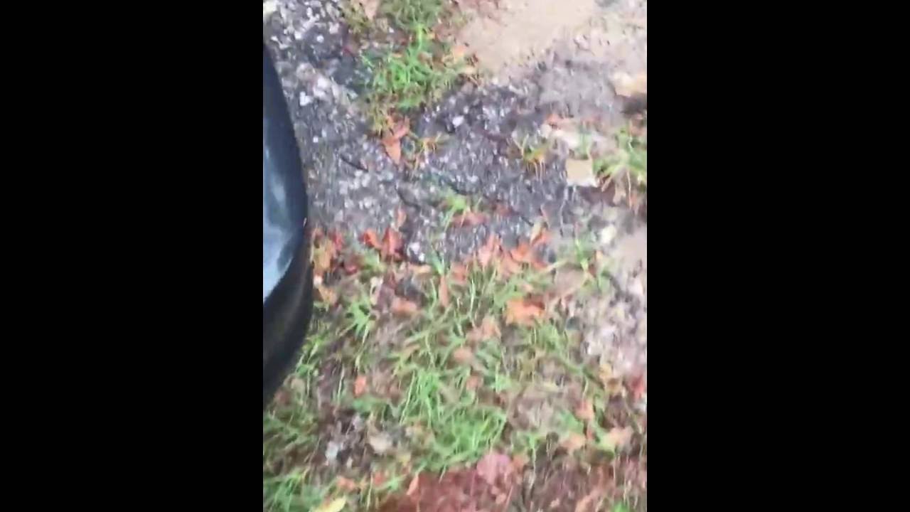 E46 m3 section 1 exhaust leak? YouTube