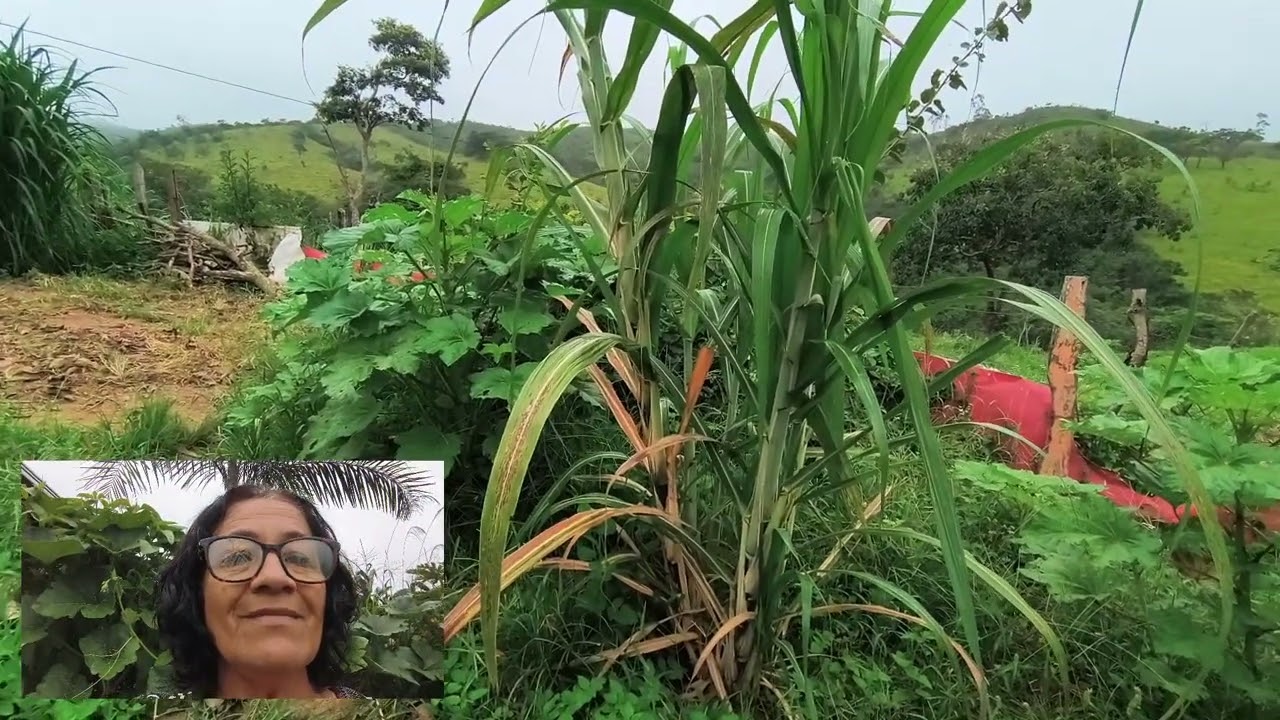 Deixa a precisar do senhor te conduzir #