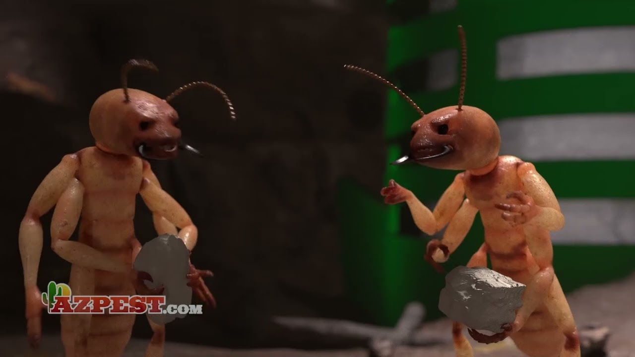 Sentricon Termite Protection From AZ Pest Control