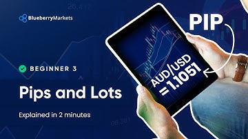 Pips and Lots Explained In 2 Minutes