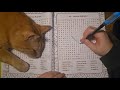 ASMR Relaxing Word Search with my Cat | Puzzle Book | Whispering | Cozy
