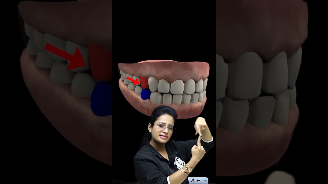 What are 14 Dental Points in SSB Medical Test #SSB #Shorts #DW