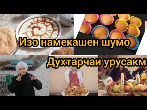 Видео: Ургамлын тэжээллэг талх