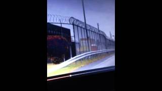 IMG 1982