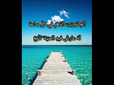 وما الدهر إلا جامع ومفرق الشاعر أبو العتاهية