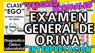 GENERAL URINE EXAM INTERPRETATION | GuiaMed