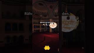 Tərk edən tərk edilir.