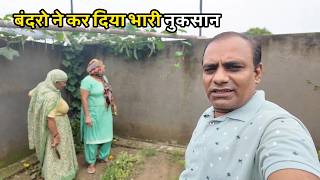आज तो बंदरो ने बोल दिया था हमला || Village Life || Pal Family Vlogs ||