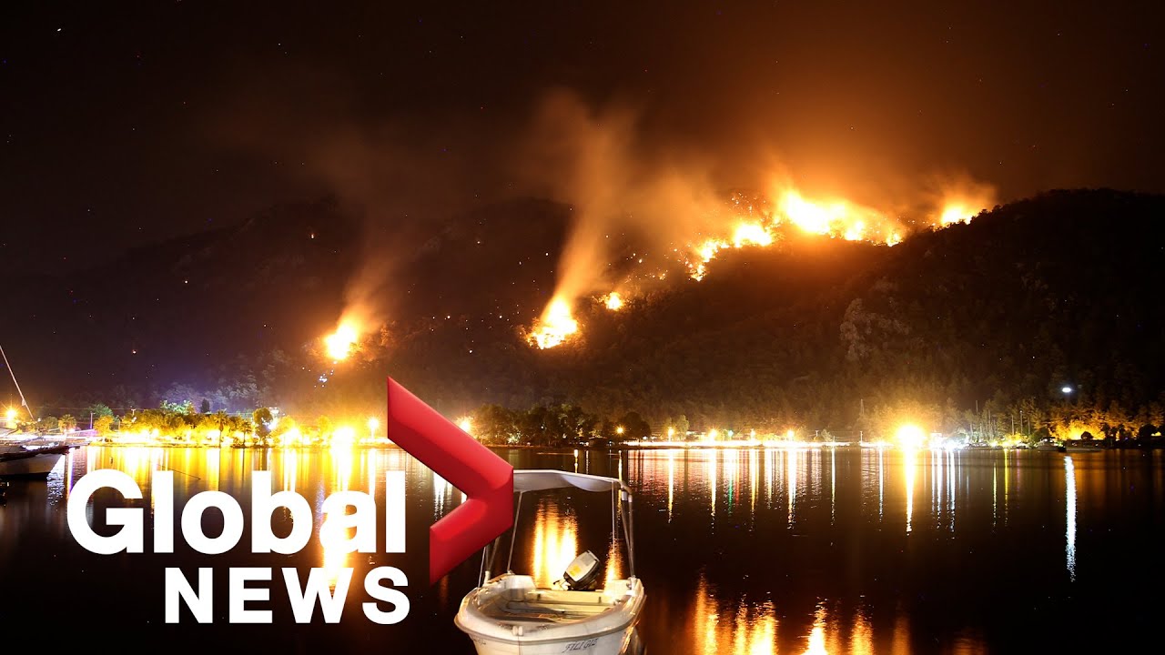 Scientists warn larger, more intense global wildfires ahead amid climate change