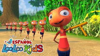 Miniatura de vídeo de "Las Hormiguitas van Marchando  y El Oso Fue a La Montaña  Canciones Infantiles para niños-LooLooKids"