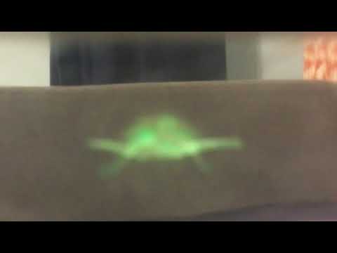 Turtle Hologram In Real Life