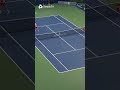INSANE SHOT  FROM ALCARAZ 🤯