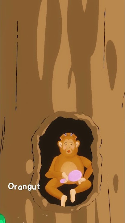Ardhito Pramono - Orang Utan