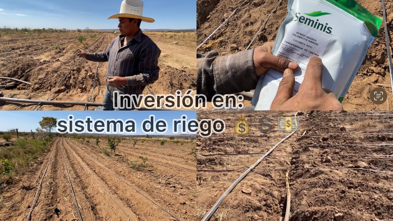 Esto se invierte para poner un sistema de riego para cultivar hortalizas 💵💰💲💲