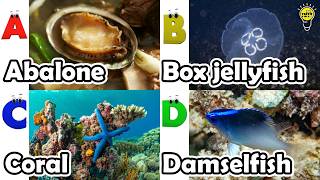 Ocean Animals Names A to Z 🐙 | ABC Learning Song for Kids | Preschool Educational Video