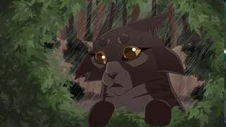 The way Warriors Cats PMV MAP (part 17)