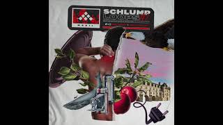 Schlump Loops Vol. 10 (Sample Pack)
