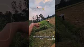 R.I.P ADVANCE GAMING 💔 MUJAHID VAI AR KOBOR😞 SUE ASE AKNE SARA JIBONER JONNO😞💔😭