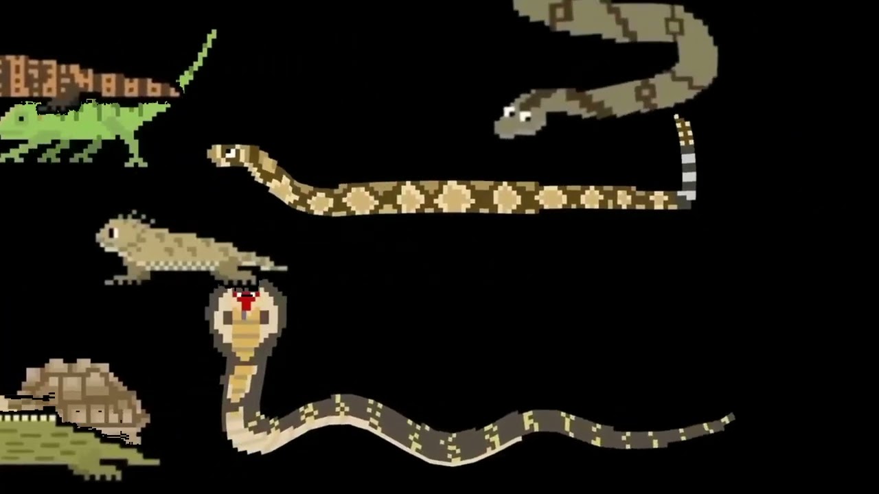 Reptiles 1 & 2 Together - 