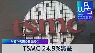 TSMC 24.9％減益　半導体需要の回復鈍く【WBS】（2023年10月19日）