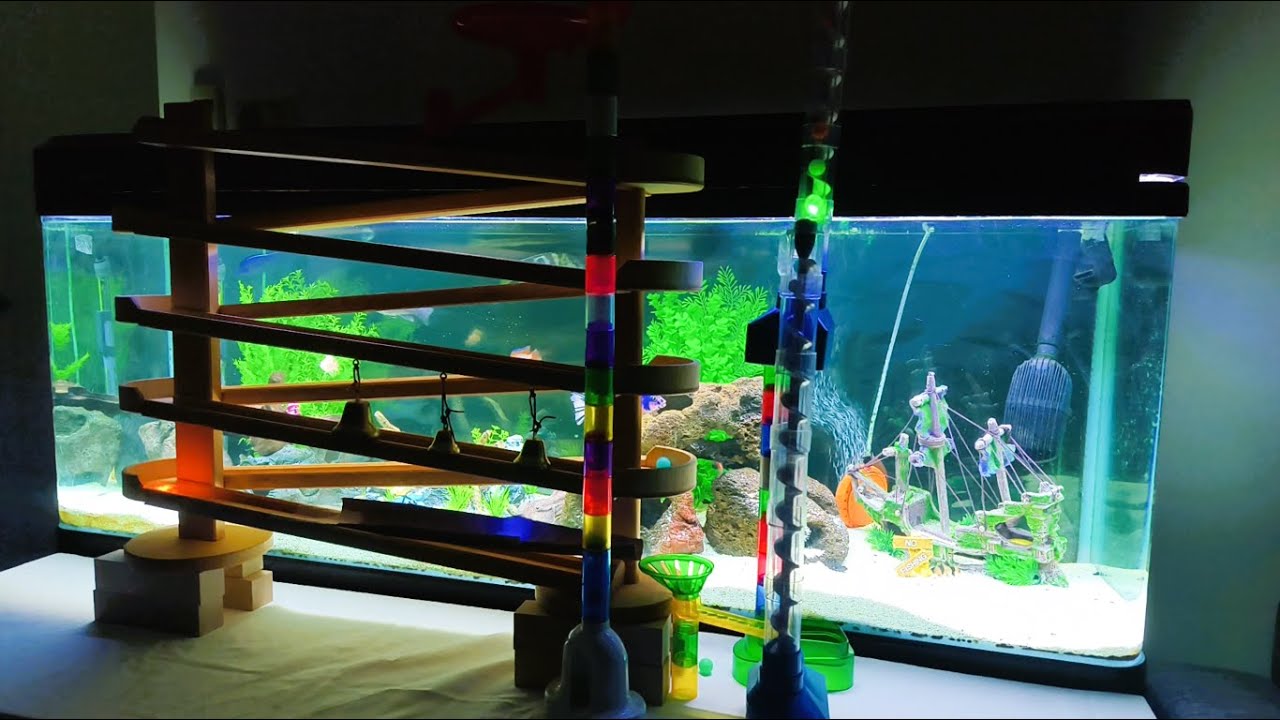 Peaceful Fish Tank with Endless Marble Run ASMR ∞ Schöllner Serpentine with Continuous Elevator Loop