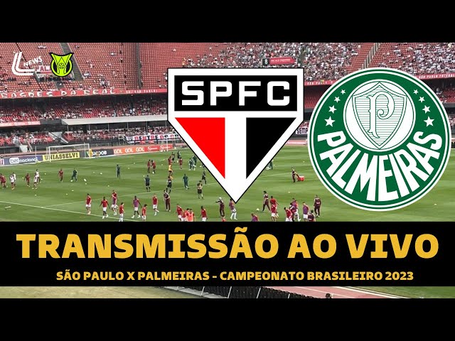 Onde assistir ao vivo e online o jogo do Palmeiras hoje, quarta, 1