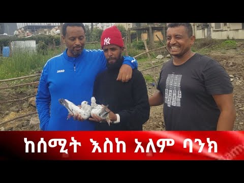 ቪዲዮ: ርግብ በቲታን ሞተች?