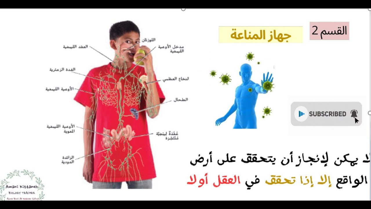 القسم 2 جهاز المناعة - الجزء الأول #أوراق عمل في الوصف