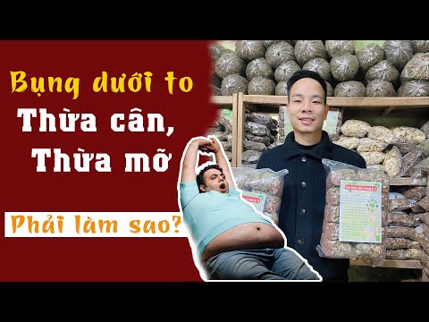 Bụng Dưới To, Thừa Mỡ, Thừa Cân, Mệt Mỏi Phải Làm Sao?