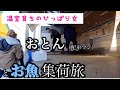 【トレーラー女子】配車マン💪おとん🦍と🐟お魚🐟集荷旅の一日