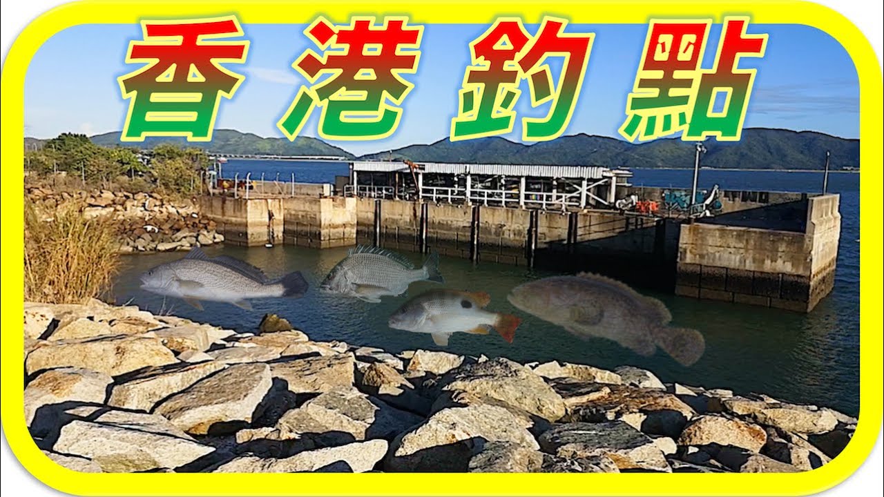 香港釣魚點｜荒廢碼頭內灣｜昔日夢幻釣場！