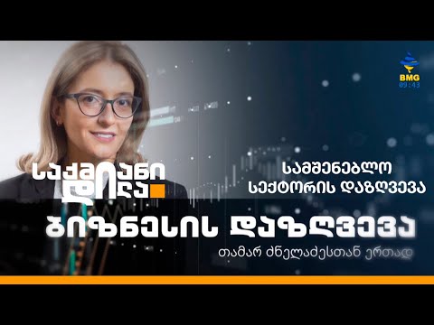 ალდაგი: სამშენებლო სექტორის დაზღვევა - ბიზნესის დაზღვევა თამარ ძნელაძესთან ერთად / რუბრიკა II